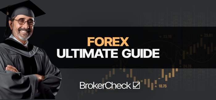 Cara Trading Forex Bagi Pemula 2025