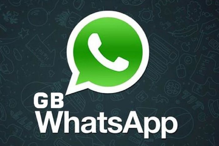 Whatsapp Mod 2025