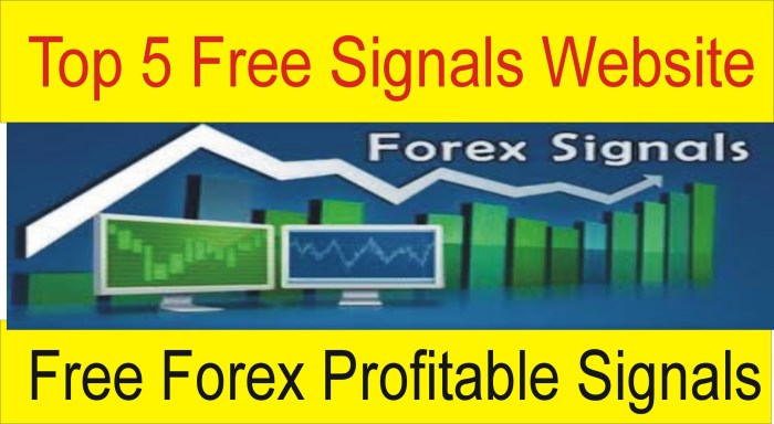 Forex Trading Websites 2025