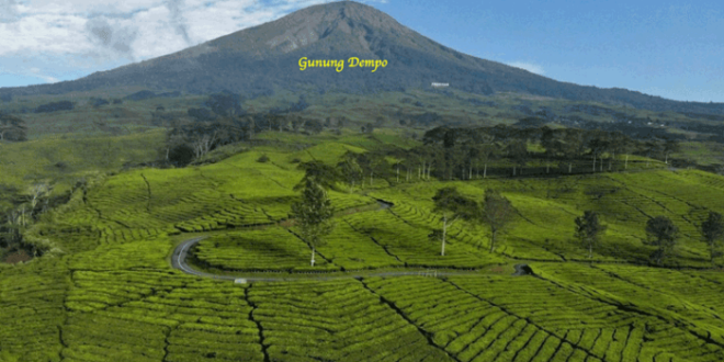 Koperasi Simpan Pinjam Terdekat Pagar Alam