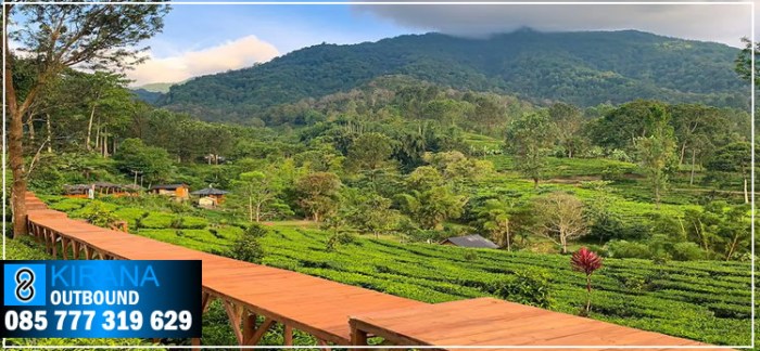 Gunung wisata klikjatim terpaksa ditutup tak punya izin sedang anggota memasang penutupan Gunung wisata klikjatim terpaksa ditutup tak punya izin sedang anggota memasang penutupan