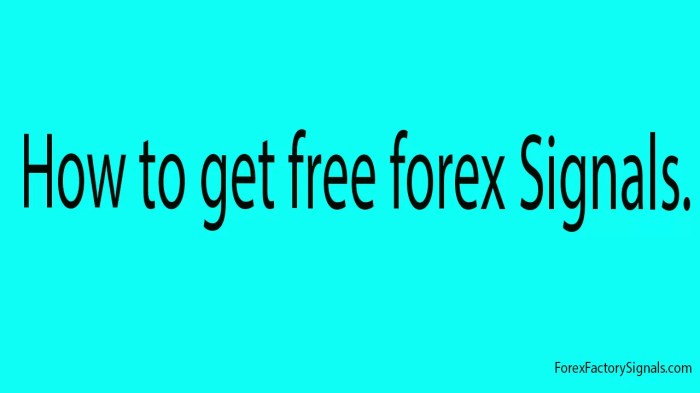 Aplikasi Signal Forex Terbaik 2025