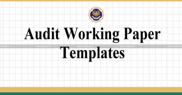 Contoh Kertas Kerja Audit