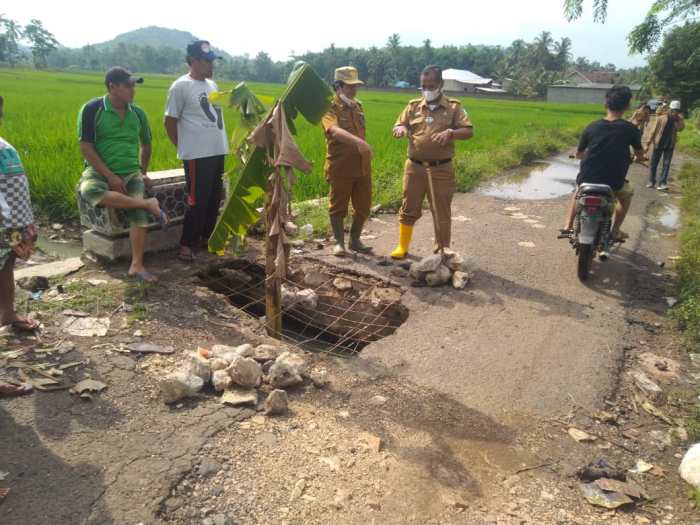 Koperasi Simpan Pinjam Terdekat Pesawaran