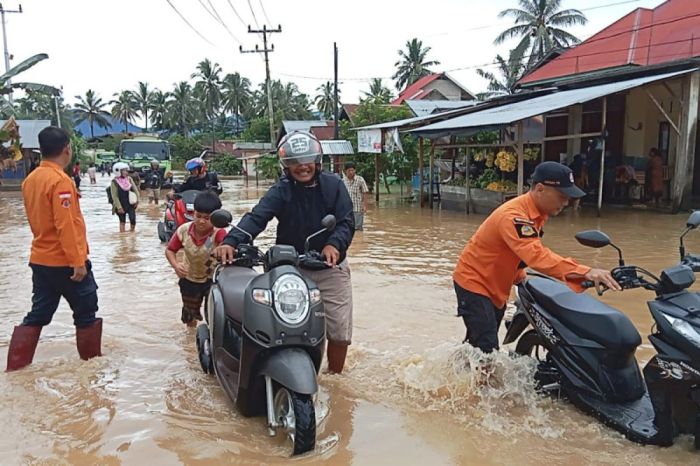 Koperasi Simpan Pinjam Terdekat Pasaman