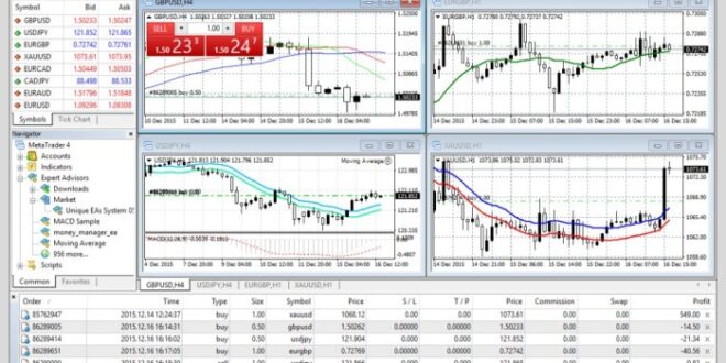 Forex Trading Metatrader 5 2025