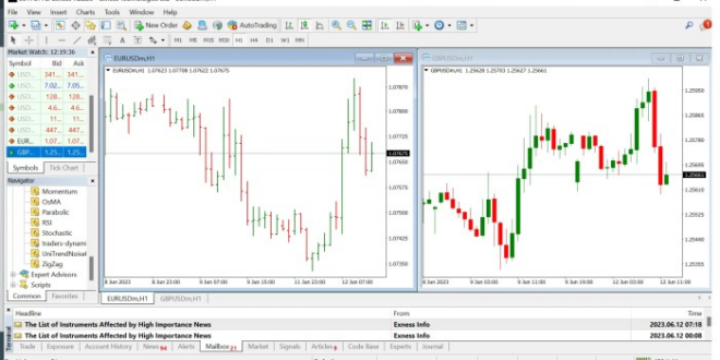 Metatrader 4 Forex Trading 2025