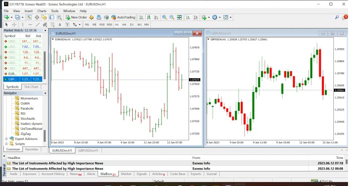 Metatrader 4 Forex Trading 2025