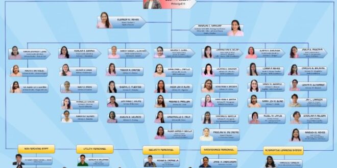 Contoh Struktur Organisasi Sekolah Sd