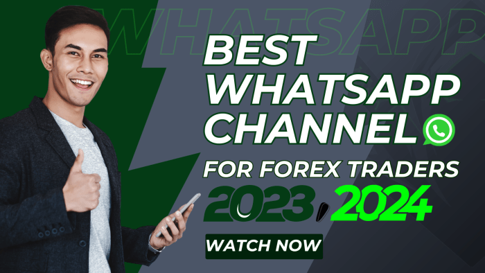 Forex Trading Untuk Pemula 2025