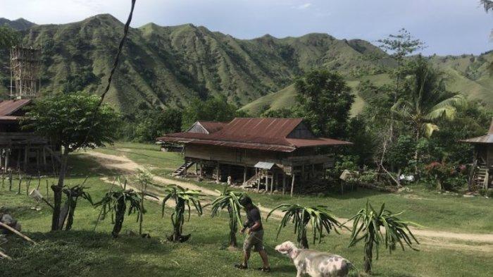 Toraja tana map indonesia Koperasi Simpan Pinjam Terdekat Tana Toraja