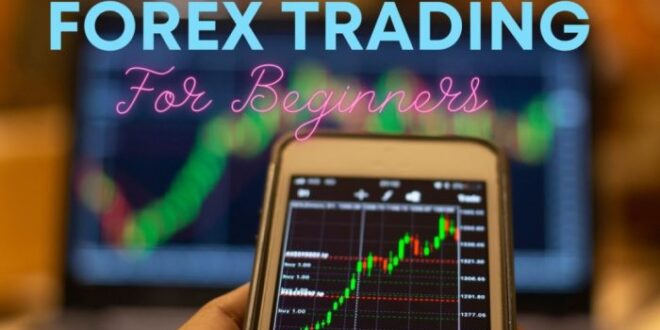 Cara Forex Pemula 2025