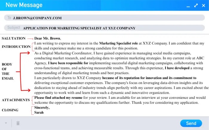 Contoh Surat Lamaran Kerja Email 2025