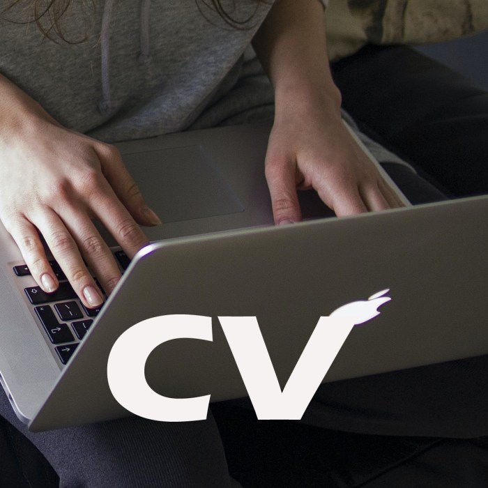 Cara Bikin Cv Lamaran Kerja 2025
