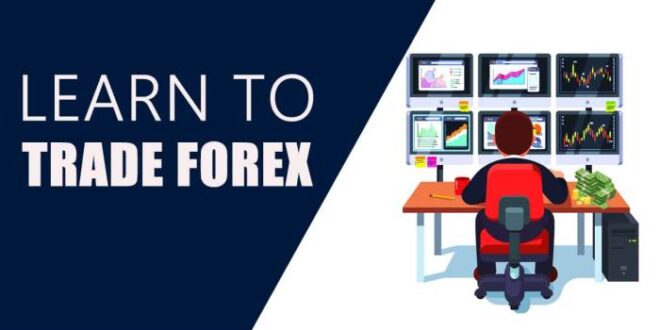 Belajar Trading Forex Gratis 2025