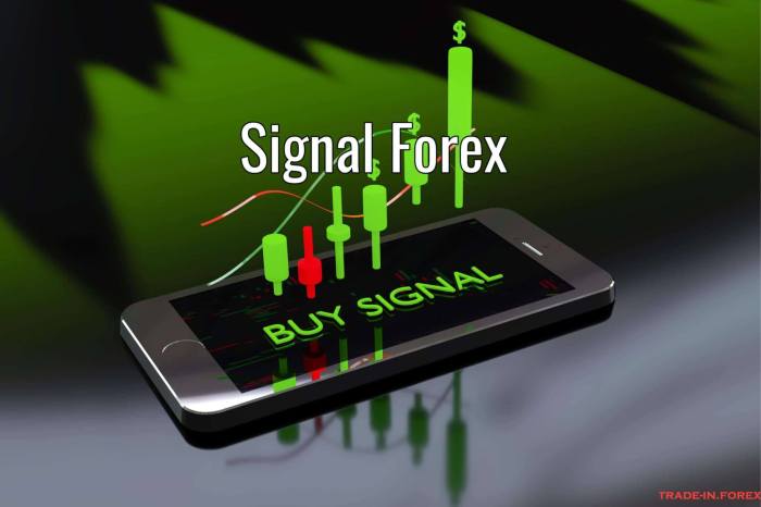 Forex signals signal accurate Aplikasi Signal Forex Paling Akurat 2025