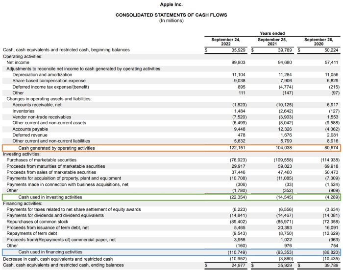 Contoh Cash Flow Usaha Makanan
