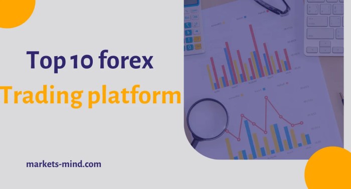 Best Forex Trading Platform 2025