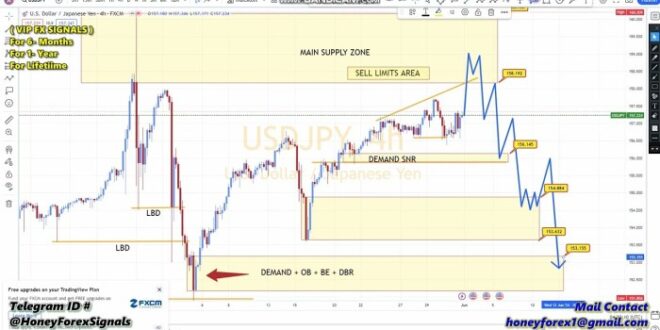 Forex Trading Charts 2025