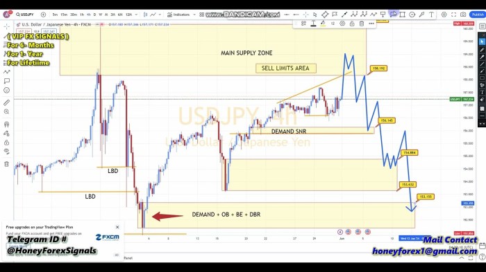Forex Trading Charts 2025