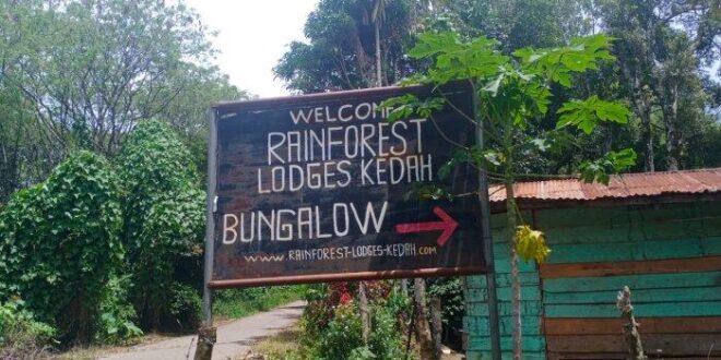 Koperasi Simpan Pinjam Terdekat Gayo Lues