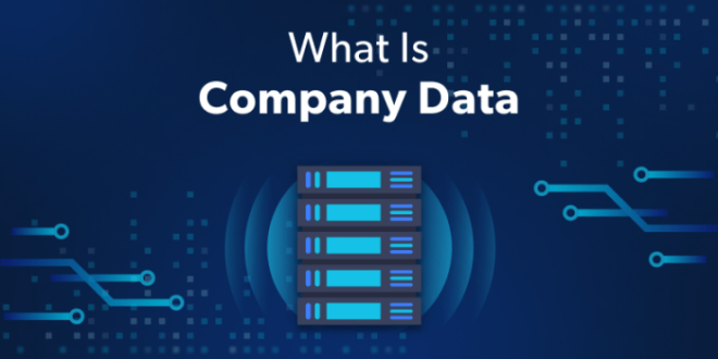 Contoh Data Perusahaan
