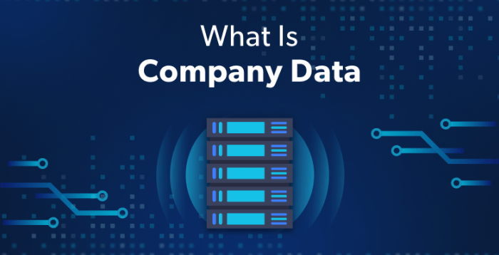 Contoh Data Perusahaan