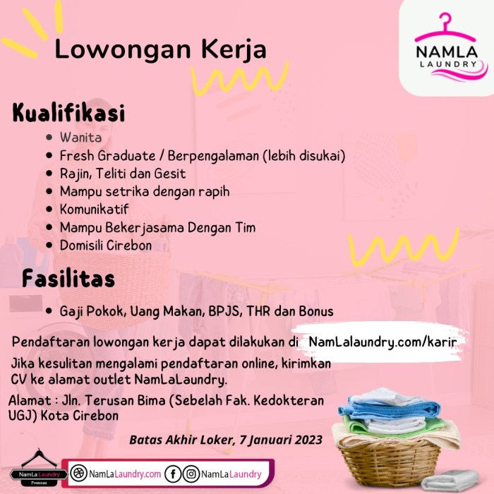Lowongan Kerja Cuci Gosok Harian 2025