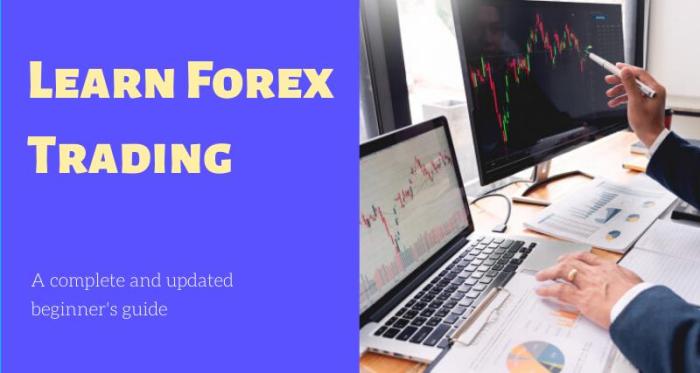 Learn Forex Trading 2025