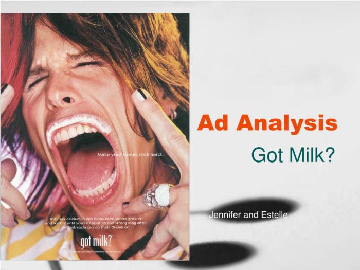 Contoh Analisis Iklan