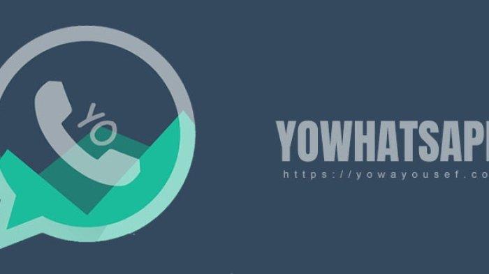 Download Yowhatsapp Terbaru 2025