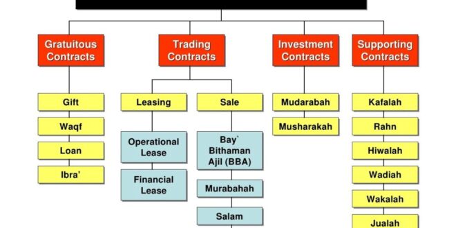 Contoh Laporan Keuangan Syariah