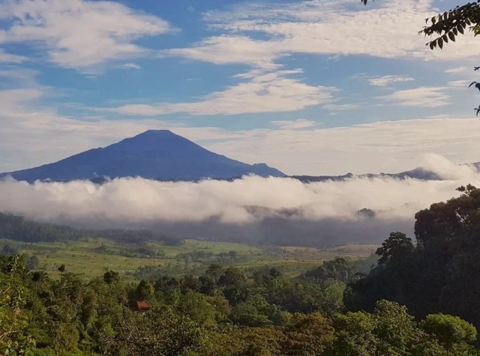 Koperasi Simpan Pinjam Terdekat Majalengka
