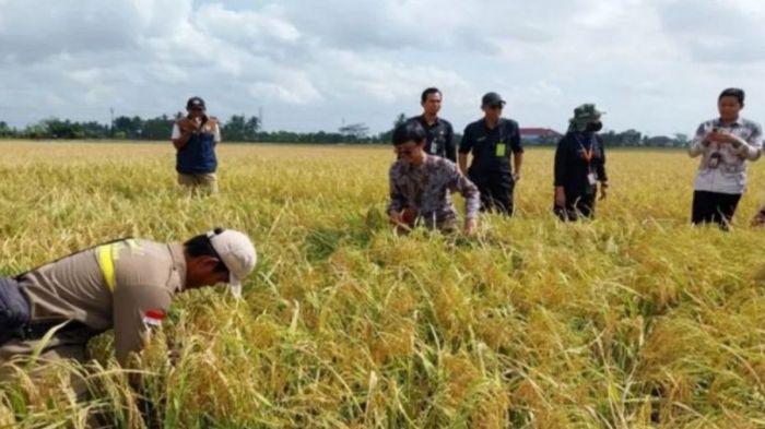 Koperasi Simpan Pinjam Terdekat Tanah Bumbu