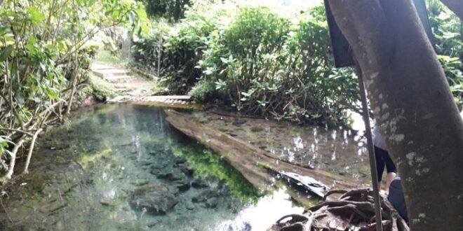 Koperasi Simpan Pinjam Terdekat Hulu Sungai Selatan