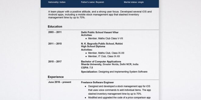 Contoh Biodata Diri Melamar Kerja 2025