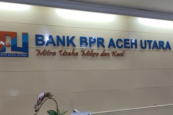 Pinjaman Bank Bpr Tanpa Agunan 2025