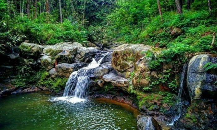 Koperasi Simpan Pinjam Terdekat Pemalang