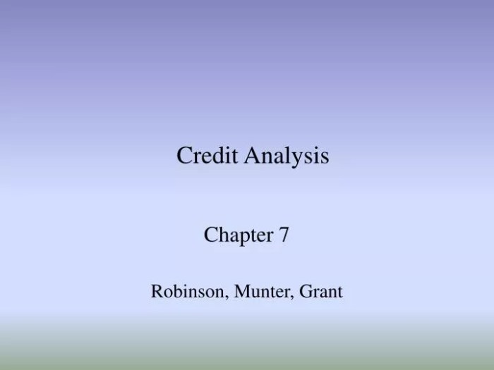 Contoh Analisis Kredit