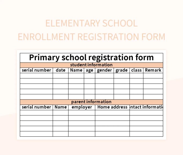 Contoh Formulir Pendaftaran Sekolah Dasar