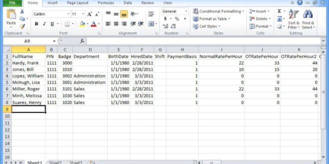 Contoh Data Karyawan Excel