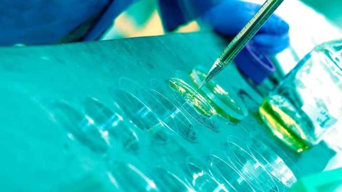 Develop darpa scientists Contoh Karya Ilmiah Tentang Covid 19
