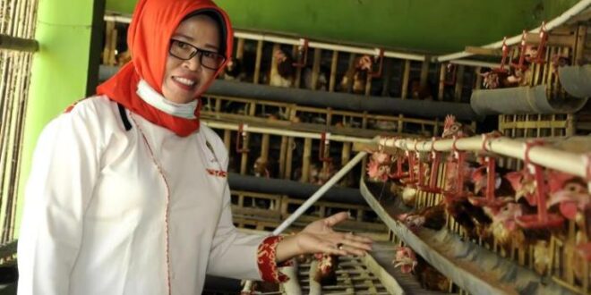 Koperasi Simpan Pinjam Terdekat Kulon Progo