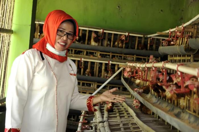 Koperasi Simpan Pinjam Terdekat Kulon Progo