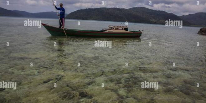Koperasi Simpan Pinjam Terdekat Kepulauan Anambas