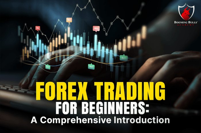 Awal Mula Trading Forex 2025