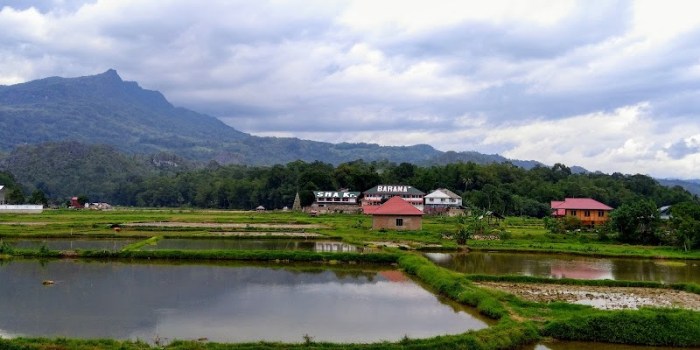 Koperasi Simpan Pinjam Terdekat Toraja Utara