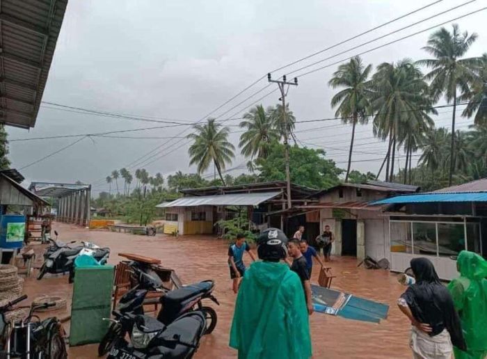 Koperasi Simpan Pinjam Terdekat Tojo Una-Una