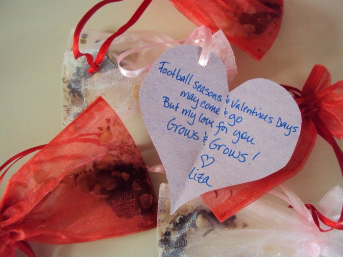 Kado Buat Pacar Di Hari Valentine 2025