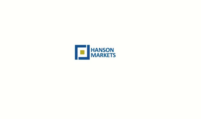 Hanson Forex Investing 2025